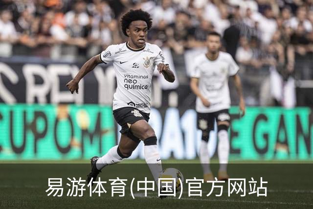 易游体育(中国)官方网站企业介绍